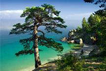 View to one of Bays of Baikal